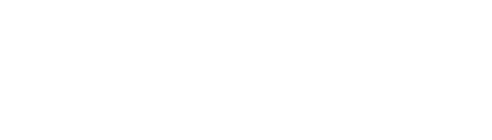 Fundația ARCA Română